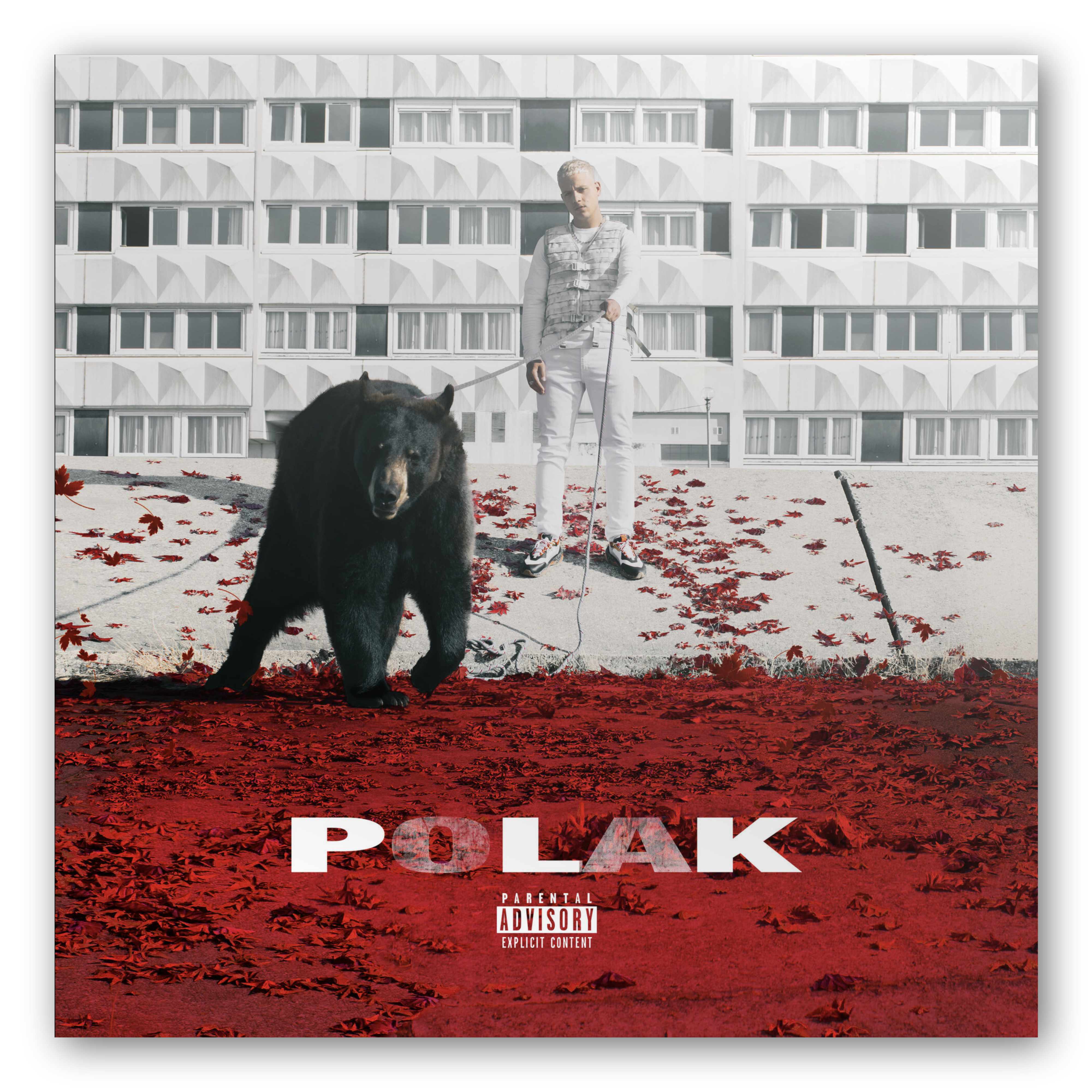 Musister® - PLK - Polak